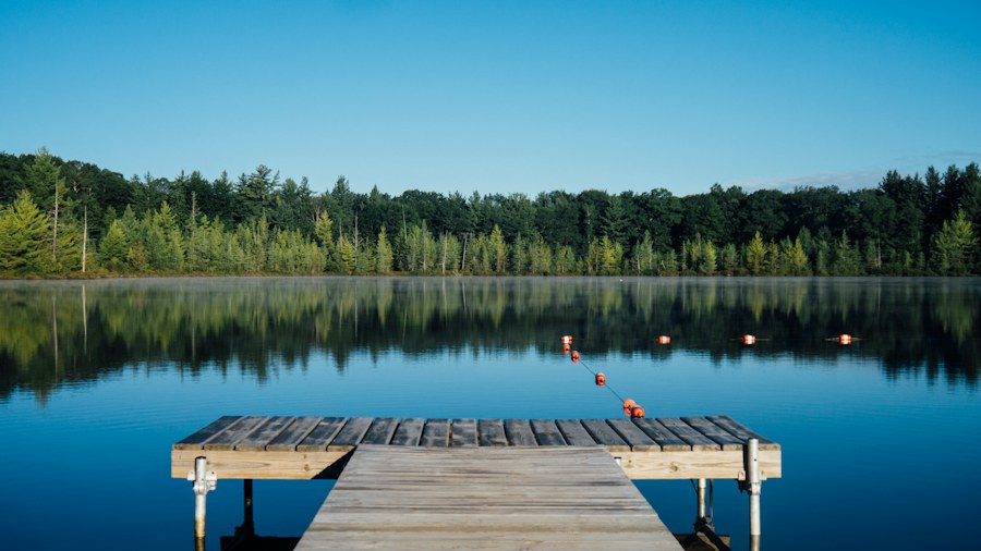 A quiet wooden dock overlooking a tree-lined lake