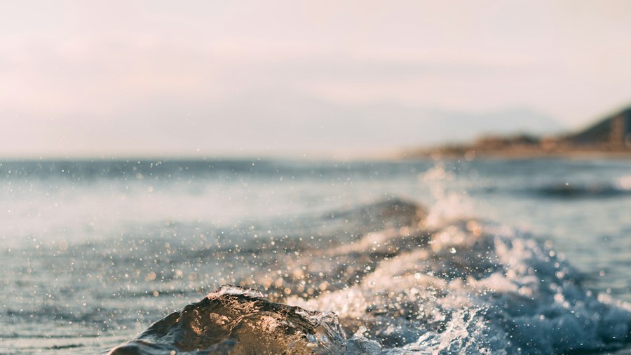 A small wave moving toward a peaceful shore