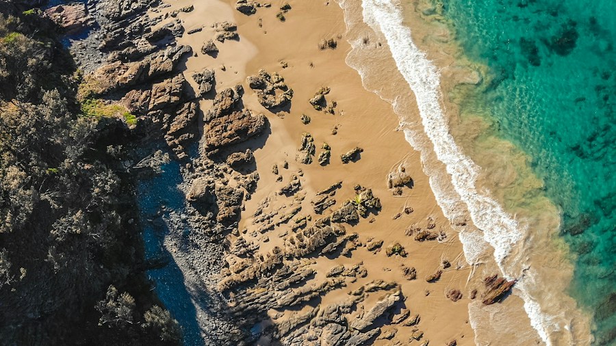 A sunlit shoreline seen from above