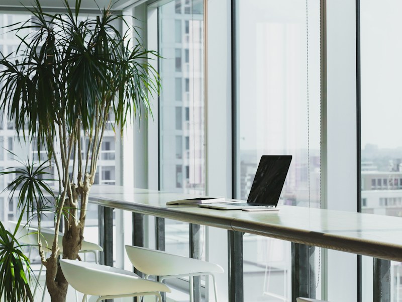 A bright workspace with a plant