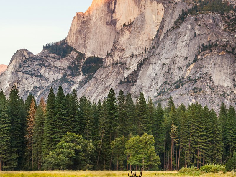 Mountains and evergreen trees