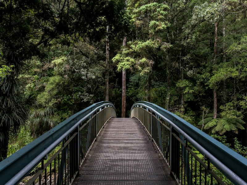 A footbridge through woodland
